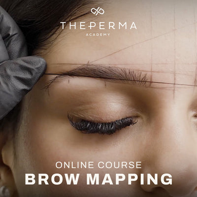Brow Mapping Course